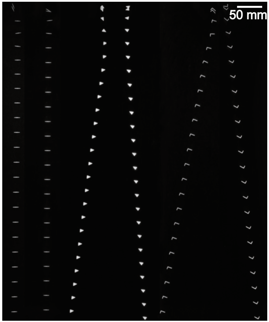 图片 4.png